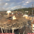 12_30-nest.jpg