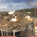 13_00-nest.jpg