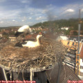 13_05-nest.jpg