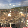 13_10-nest.jpg