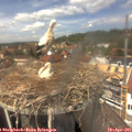13_25-nest.jpg