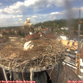 13_35-nest.jpg