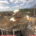 13_45-nest.jpg