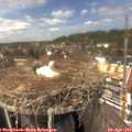14_00-nest.jpg