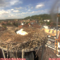 14_05-nest.jpg