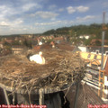 14_10-nest.jpg