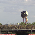 14_35-mast.jpg