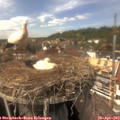 14_35-nest.jpg