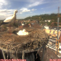 14_40-nest.jpg