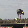 14_45-mast.jpg