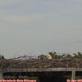 16_05-mast.jpg