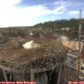 16_05-nest.jpg