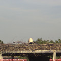 18_10-mast.jpg
