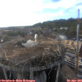 18_35-nest.jpg