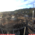 19_30-nest.jpg