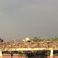 19_35-mast.jpg