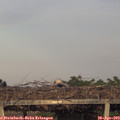 19_45-mast.jpg