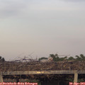 19_50-mast.jpg