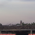 20_00-mast.jpg