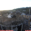 20_00-nest.jpg