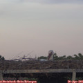 20_05-mast.jpg