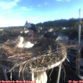 06_45-nest.jpg