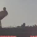 07_00-mast.jpg