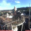 07_00-nest.jpg