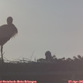 07_05-mast.jpg