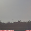 07_30-mast.jpg