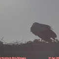 07_35-mast.jpg