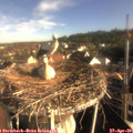 08_00-nest.jpg