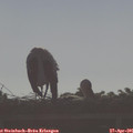 08_20-mast.jpg