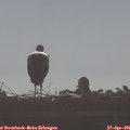 08_25-mast.jpg