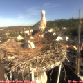 08_45-nest.jpg