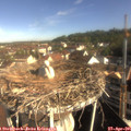 08_55-nest.jpg