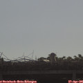 09_00-mast.jpg