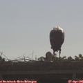 09_05-mast.jpg