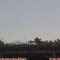 09_35-mast.jpg