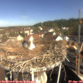 09_40-nest.jpg