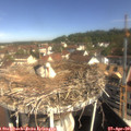 09_55-nest.jpg