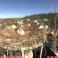 10_00-nest.jpg