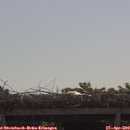 10_20-mast.jpg