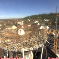 10_20-nest.jpg