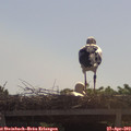 10_35-mast.jpg