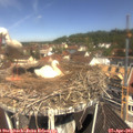 11_20-nest.jpg