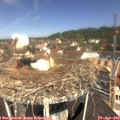 11_25-nest.jpg