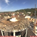 11_45-nest.jpg