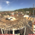 11_50-nest.jpg