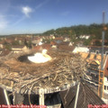 11_55-nest.jpg
